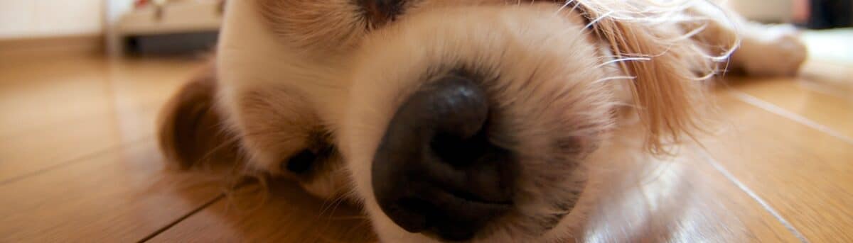 ひーちーのつぶやき