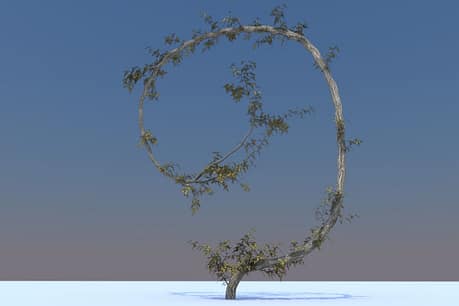 cheetah3dtree2