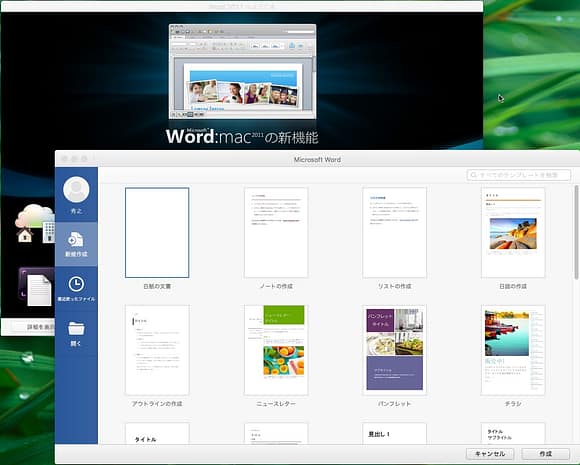 Microsoft WordScreenSnapz001